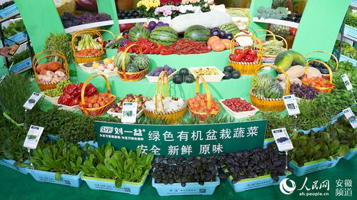 安徽农交会今天开幕 2.5万种农产品集中亮相