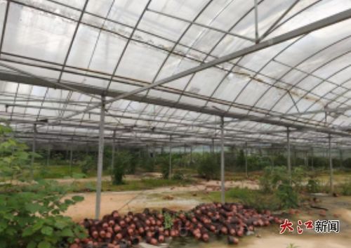 玉山县岩瑞镇周佃村10亩现代化大棚招商公告