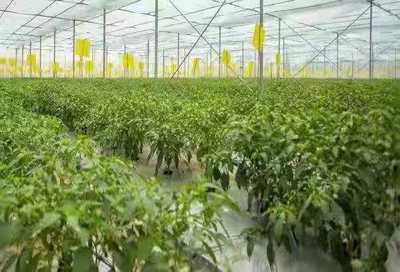 湖南新增10个特色产业小镇!县域经济添新亮点