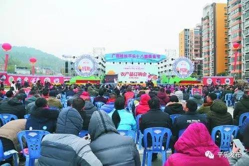 桂林平乐 回首2018,启航2019,奋斗,让平乐更精彩 旅游