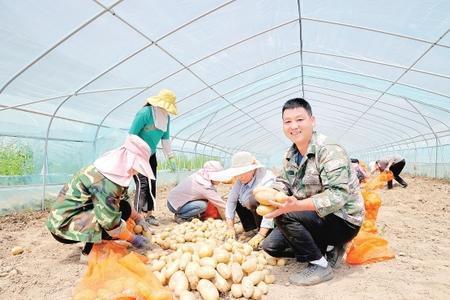 图片新闻 康县景盛种植农民专业合作社大力发展特色农产品种植