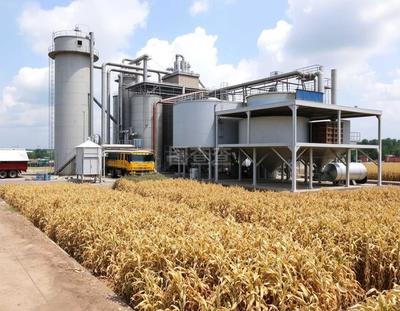 大米深加工技术与优质稻米种植技术融合发展