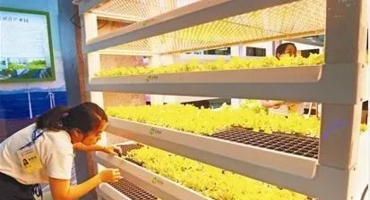 2018世界制造业大会 创新农业开拓农产品制造新思路