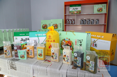 北诗镇南诗午村农产品初加工项目加速推进，助力农业产业升级