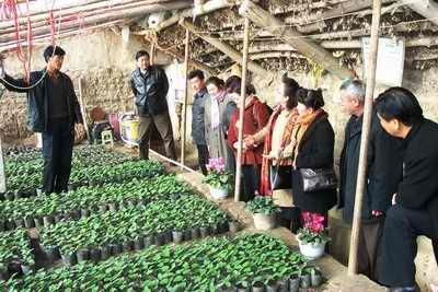 新疆维吾尔自治区无公害农产品种植与保护办法