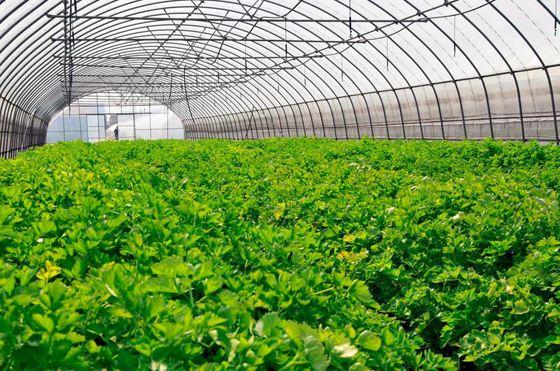 珍绿尚品 有机农业未来发展的五大趋势