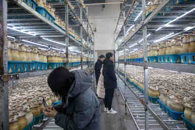 聚焦青岛西海岸新区 农产品区域公用品牌全国媒体联合采风活动正式启动