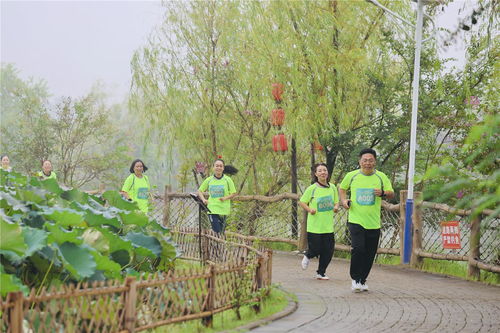 田园竞跑马拉松 农产品种植的革新与未来
