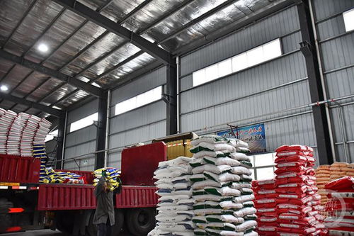 寒潮来袭,全力保障民生物资供应与农产品种植稳定