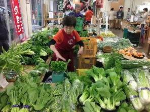 农产品价格高，怪批发市场还是种植环节？