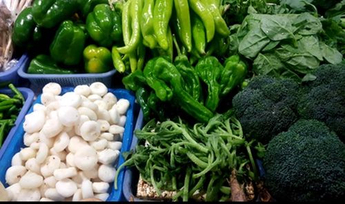 政策再加持 仓储保鲜设施建设破解农产品“最先一公里”难题