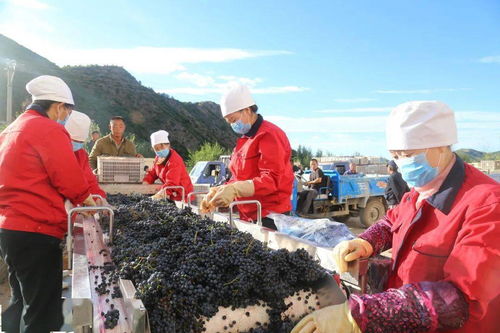 嘱托指引风帆劲 砥砺奋进谱新篇 生态建设耕耘路 青山绿水画赤峰