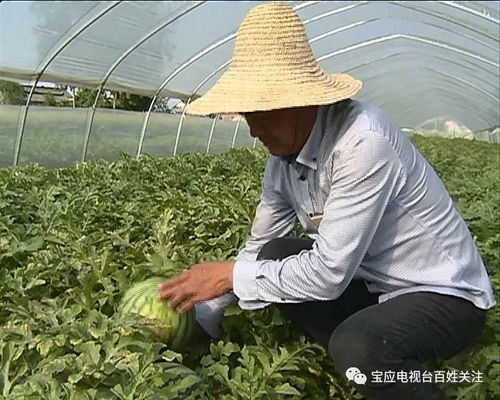 全县首家农业产业协会成立