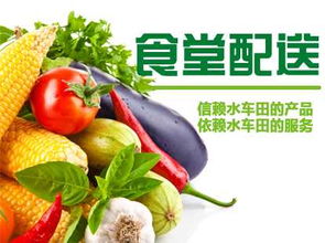 长沙蔬菜配送中心 长沙蔬菜配送哪家好,长沙蔬菜配送中心 长沙蔬菜配送哪家好生产厂家,长沙蔬菜配送中心 长沙蔬菜配送哪家好价格