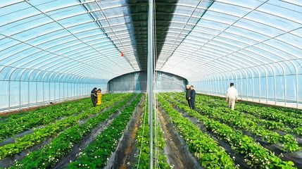 沂河新区:村级民生实事系列七:团林工作区