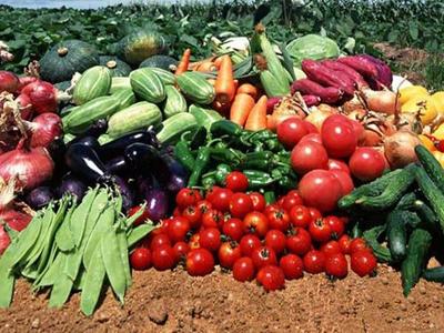 数字农业农村 破解农产品品质困局的新路径