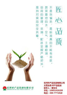 宏鸿农产品集团 从农田到餐桌，打造学校食堂绿色配送新标杆