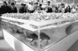 大地之上 从种子到餐桌的农产品种植之旅