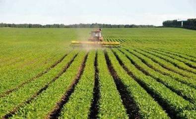 GAP认证前，农产品种植基地的准备工作指南